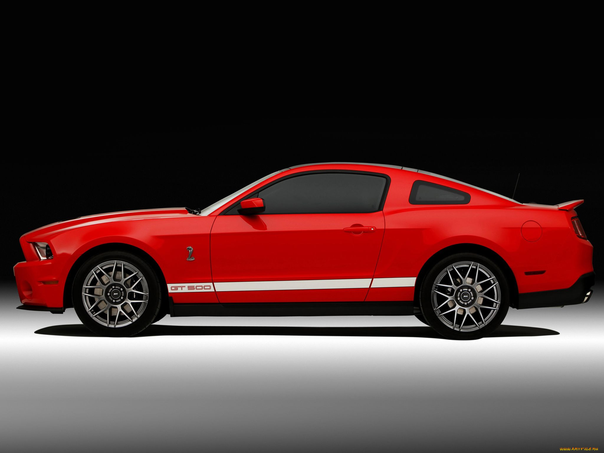 , mustang